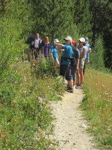 Hiking & Walking Tours in Aspen / Snowmass