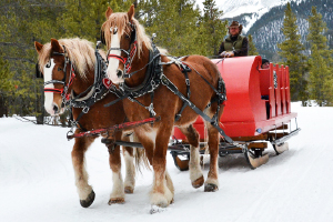 Sleigh Rides in Vail / Beaver Creek